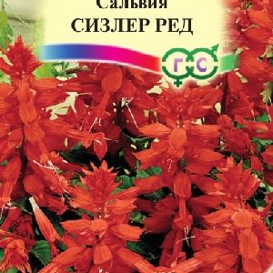 Сальвия Сизлер Ред 5 шт.* сер. Элитная клумба Н15