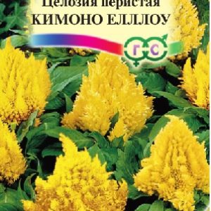 Целозия Кимоно Еллоу перистая 10 шт.* сер. Элитная клумба Н15