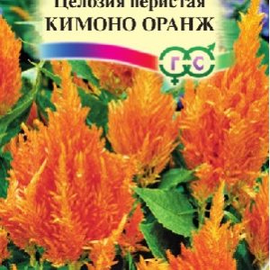 Целозия Кимоно Оранж перистая 10 шт.* сер. Элитная клумба Н15
