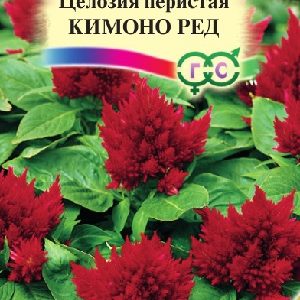 Целозия Кимоно Ред перистая 10 шт.* сер. Элитная клумба Н15