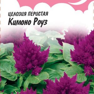 Целозия Кимоно Роуз перистая 10 шт.* серия Розовые сны Н15
