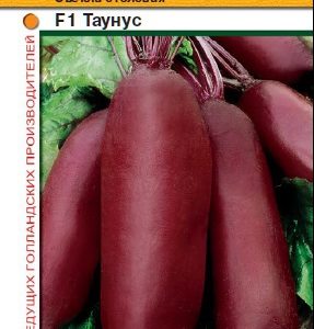 Свекла F1 Таунус