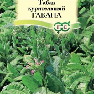 Табак курительный Гавана, розовоцветковый, 0,01 г Н15