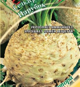 Сельдерей корневой Парубок