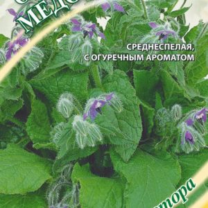 Бораго Огуречная трава Медонос 0,3 г автор. Н15