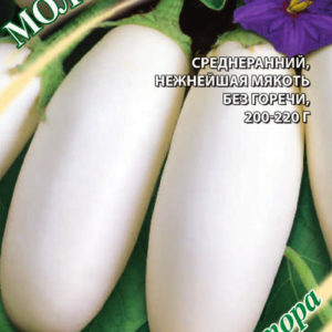 Баклажан Молочник 0,3 г автор. Н17
