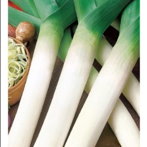 Лук порей Жираф 1,0 г Н15