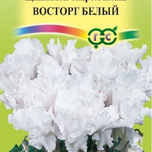 Цикламен махровый Восторг белый* 3 шт. сер. Элитная клумба Н15