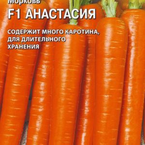 Морковь Анастасия F1 150 шт. (Голландия) Н10