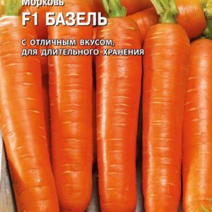 Морковь Базель F1 150 шт. (Голландия)