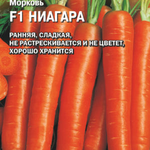 Морковь Ниагара F1 150 шт. (Голландия) Н14