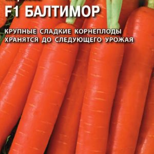 Морковь Балтимор F1 150 шт. (Голландия) Н14