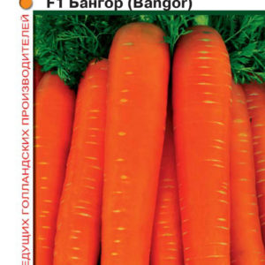 Морковь Бангор F1 150 шт. (Голландия)