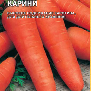 Морковь Карини 150 шт. (Голландия) Н14
