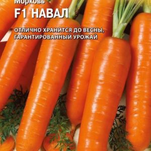 Морковь Навал F1 150 шт. (Голландия) Н13