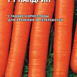 Морковь Нандрин F1 150 шт. (Голландия)