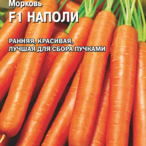 Морковь Наполи F1 150 шт. (Голландия)