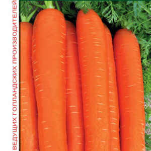 Морковь Нарбонне F1 150 шт. (Голландия)Н9