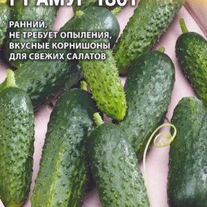 Огурец F1 АМУР 1801