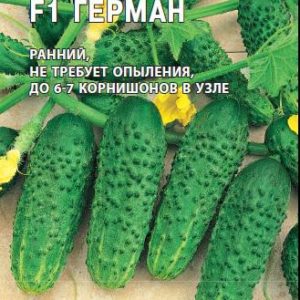 Огурец Герман F1 5 шт.корнишон (Голландия)
