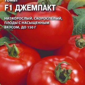 Томат Джемпакт F1 8 шт. (Саката) Н16