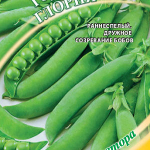 Горох Глория 10 г автор. Н16