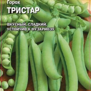 Горох Тристар 5 г (Германия) Н18