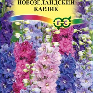 Дельфиниум махровый Новозеландский Карлик смесь, 3 шт. Н16
