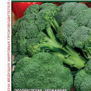 Капуста брокколи Агасси F1 10 шт. (Голландия) Н16