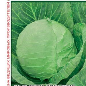 Капуста белокоч. Етма F1 10 шт. ранняя (Голландия)