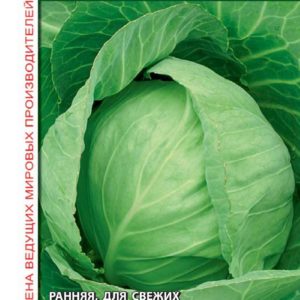 Капуста белокоч. Райма F1 10 шт. ранняя (Голландия) Н16