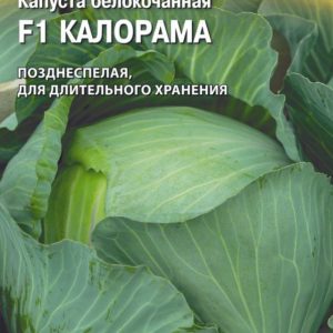 Капуста белокоч. Калорама F1 15 шт. для хранения (Райк Цваан)