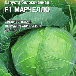 Капуста белокоч. Марчелло F1 10 шт. для квашения (Голландия) Н16