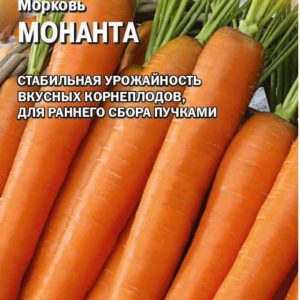 Морковь Монанта 150 шт. (Голландия)