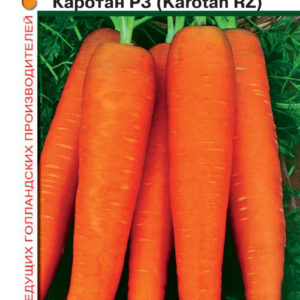 Морковь Каротан РЗ 150 шт (Голландия)