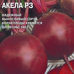 Свекла Акела РЗ 1,0 г (Райк Цваан)