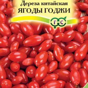 Дереза китайская Ягоды Годжи 3 шт. Н16