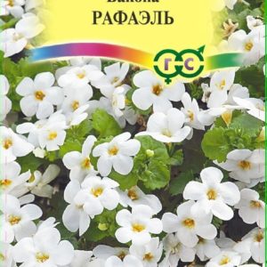 Бакопа Рафаэль 3 шт. гранул. пробирка Н16