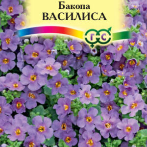 Бакопа Василиса 3 шт Н16