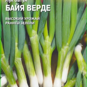 Лук батун Байя Верде 0.2 г (Голландия) Н15