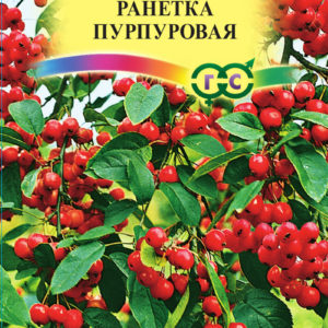 Яблоня Ранет пурпуровый 0,1 г Н16