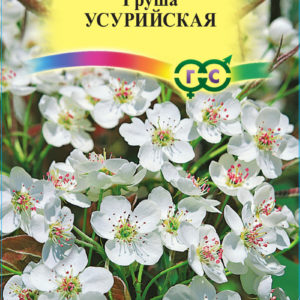 Груша Уссурийская 0,3 г Н16