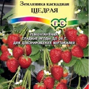 Земляника ампельная Щедрая пробирка 4 шт