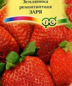 Земляника Заря 10 шт. пробирка