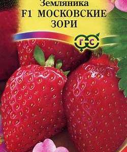 Земляника Московские зори пробирка 4 шт