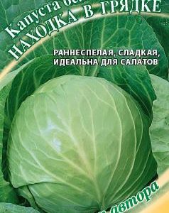 Капуста белокоч. Находка в грядке 0,5 г автор. Н16