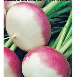 Репа Миланская розовая 0,5 г Н16