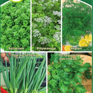 Кухонные пряности к овощам и салатам 3,7 г Н16