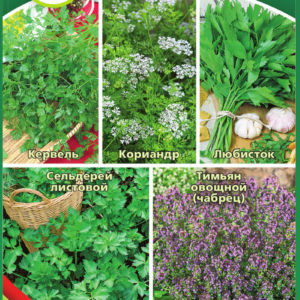 Кухонные пряности к супам 1,65 г Н16