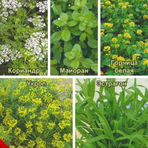 Кухонные пряности для консервирования и солений 3,1 г Н16